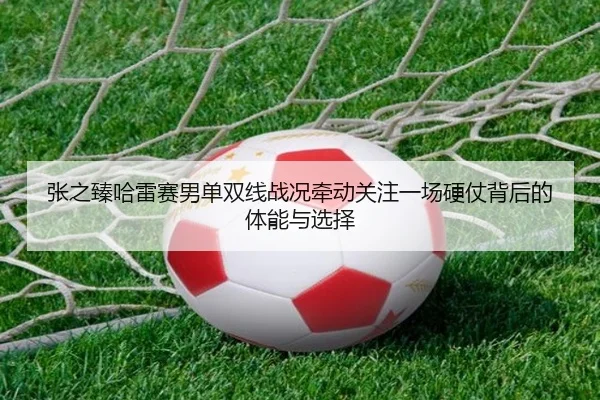 张之臻哈雷赛男单双线战况牵动关注一场硬仗背后的体能与选择